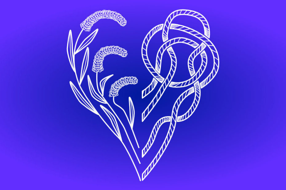 A stylized illustration featuring a heart-shaped design. One side of the heart is formed by delicate lavender sprigs with detailed leaves and flower buds. The other side is created by an intricate, interwoven rope pattern. The design is rendered in white lines against a vibrant purple background, creating a striking and harmonious contrast. This image is the logo for "Lofn's Gift."