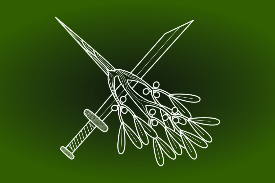 A stylized illustration featuring a crossed sword and a sprig of mistletoe. The sword is detailed with fine lines, showcasing a traditional hilt and a sharp blade. The mistletoe, depicted with delicate leaves and berries, intersects the sword. The design is rendered in white lines against a rich green background, creating a striking contrast. This image is the logo for "Loki’s Barb."